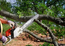 Landscape Design and Installation in Eagle Lake, FL